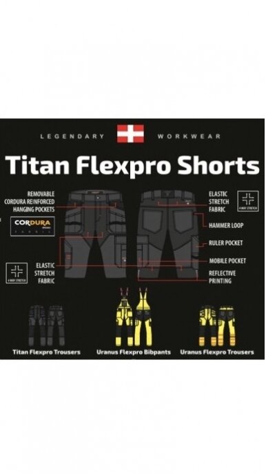 Darbo šortai Pesso TITAN Flexpro 4